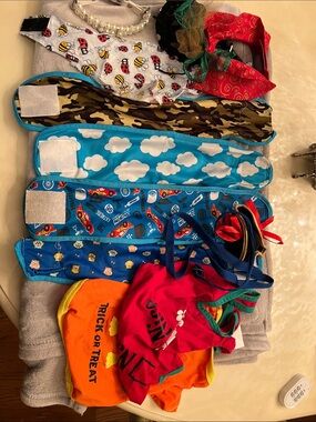 Small dog bundle-
